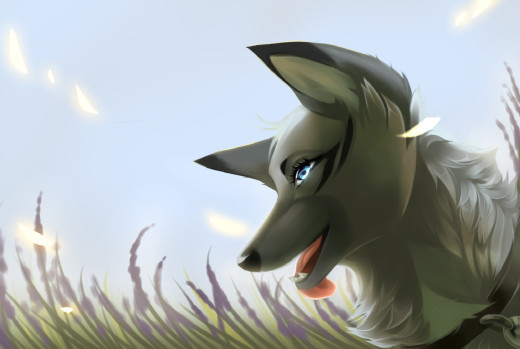 784819 (a): :1920x1288